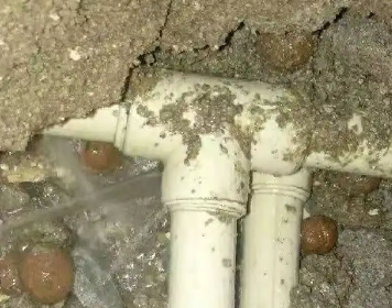 海州测漏水多少钱