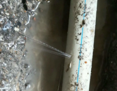 海州测漏水哪家好