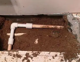 海州测漏水哪家好