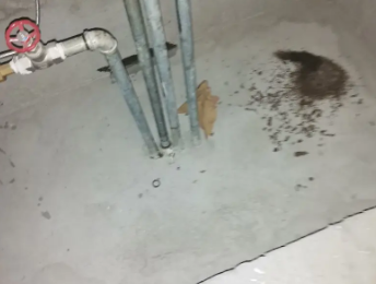 海州卫生间测漏水价格明细