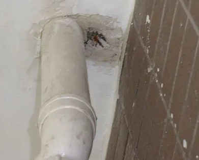 海州漏水检测哪家好